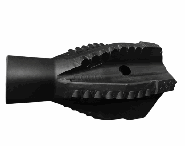 SharkBite 10